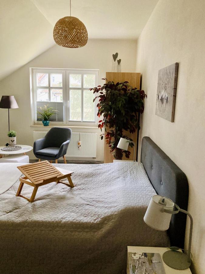 Zielone Okiennice Miłki Extérieur photo