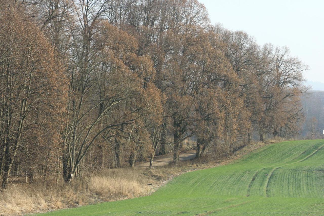Zielone Okiennice Miłki Extérieur photo