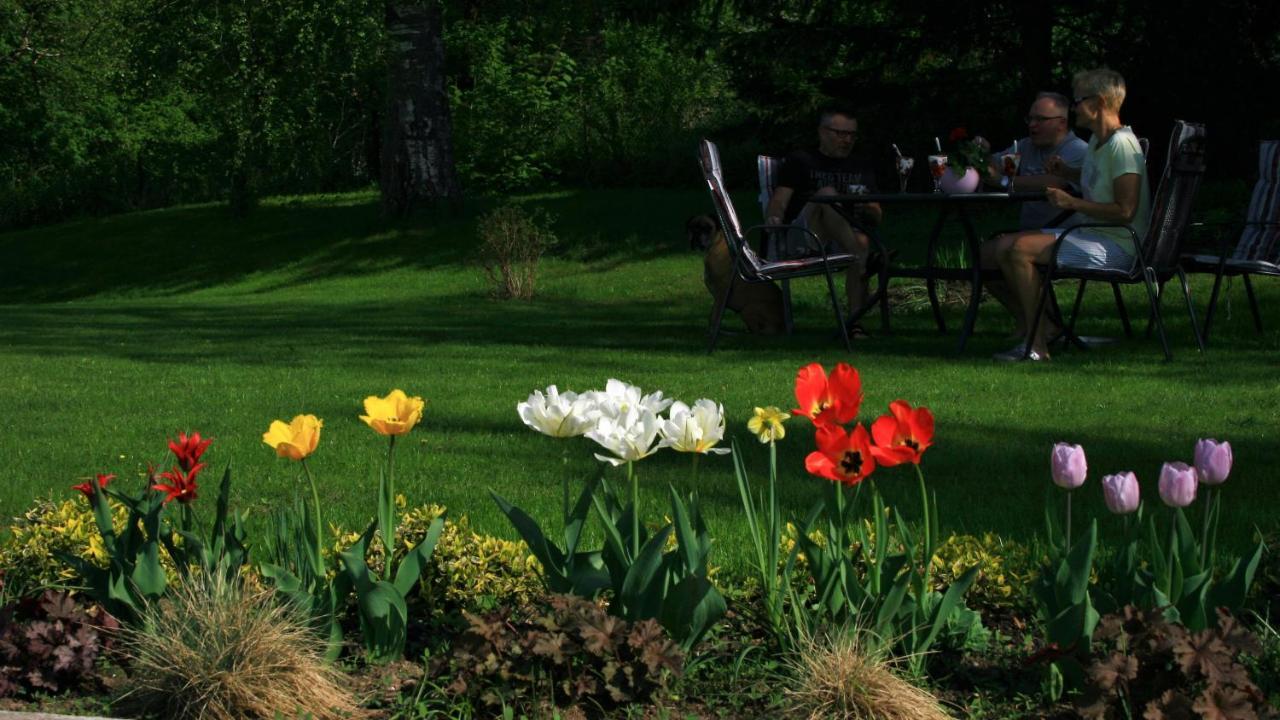Zielone Okiennice Miłki Extérieur photo