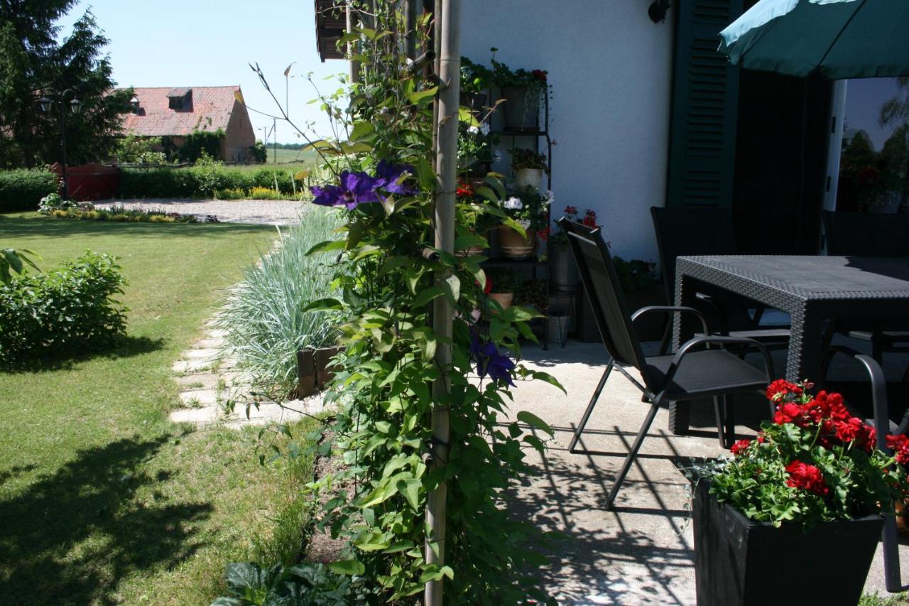 Zielone Okiennice Miłki Extérieur photo