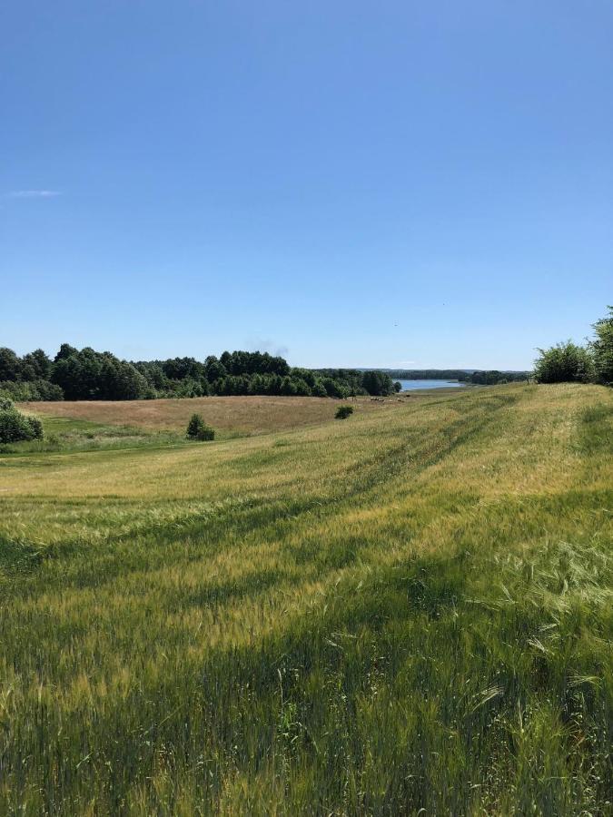Zielone Okiennice Miłki Extérieur photo